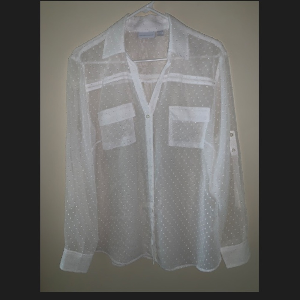 New York & Company Sheer Shirt